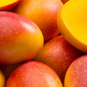 Mangue