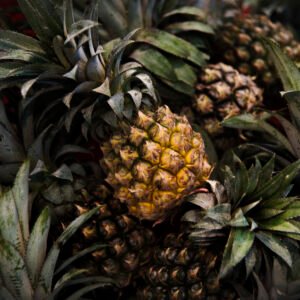 Ananas